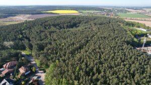 Obraz przedstawiający zdjęcie Wielkopolski Park Narodowy nr 4