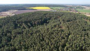 Obraz przedstawiający zdjęcie Wielkopolski Park Narodowy